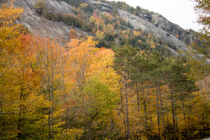 adirondacks-in-ny44