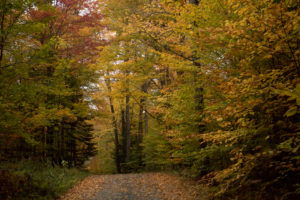adirondacks-in-ny68