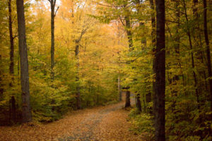 adirondacks-in-ny70