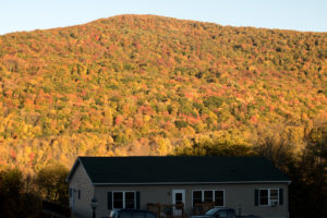 catskills-around-roxbury15