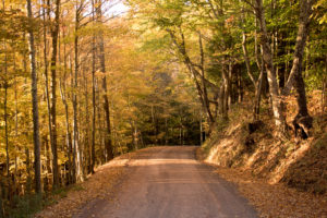 catskills-around-roxbury31