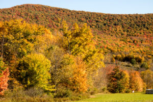 catskills-around-roxbury37