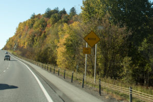 snapshots-of-vermont-201612