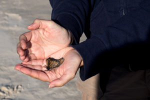 port-aransas-fall-2016-42