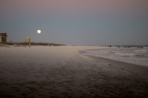 gulf-shores-al-128