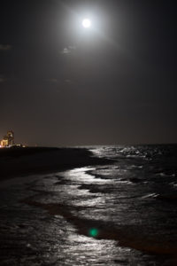 gulf-shores-al-133