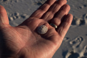 gulf-shores-al-40