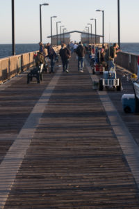 gulf-shores-al-66