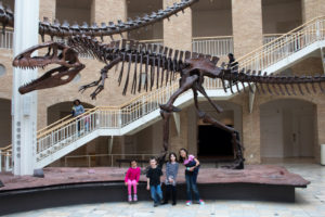 fernbank-with-the-williams-22