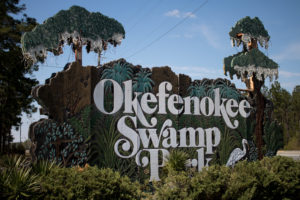 okefenokee-swamp-64